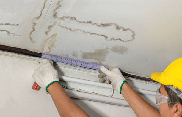 Affordable Water Damage Repair solutions in Harvest, AL